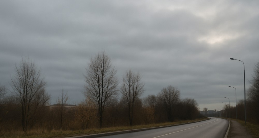 В Воронеже 26 ноября ожидается пасмурный и прохладный день без осадков