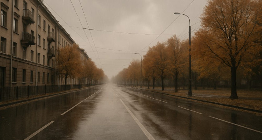 Дождливый и облачный день ожидается в Воронеже 28 ноября