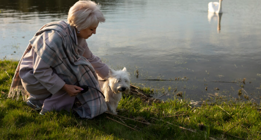 Почему одни в старости чувствуют себя брошенными, а другие наслаждаются жизнью: 4 опоры, которые заменяют всех
