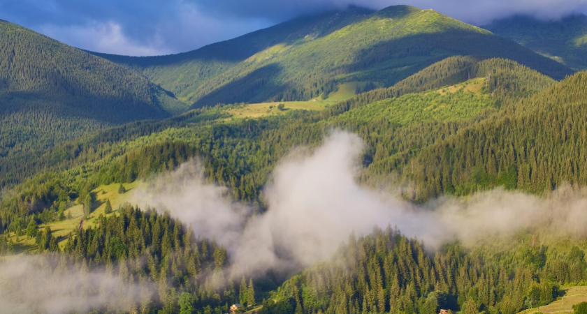 Аренда 20к, зарплата — как в столице: реальная экономика жизни в миллионнике, о котором вы не думали