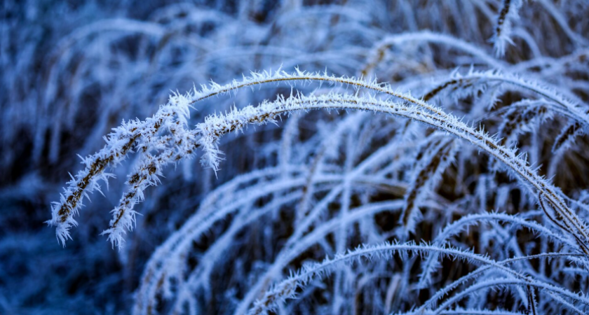 Жуткие морозы до минус 48, снегопады, лавины: прогноз погоды в России на следующую неделю