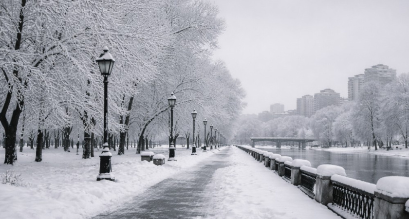 Облачная погода без осадков ожидается в Воронеже 20 декабря