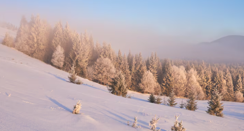 "Существенно ниже нормы": Почему надвигаются аномальные морозы и где будет холоднее всего