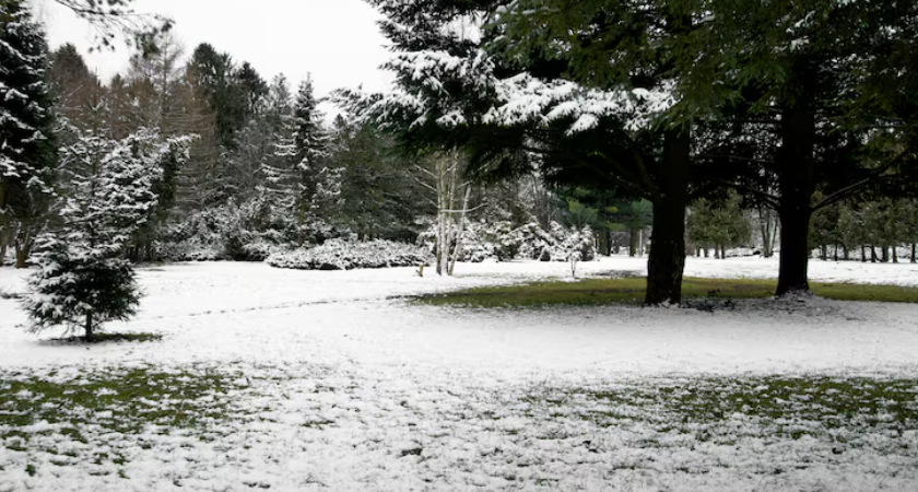 Где встретить Новый год в России: теплые курорты или экстремальный мороз? Прогноз на 31 декабря