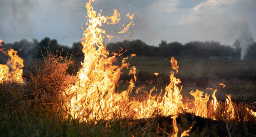 Ночью в Воронеже пожарные потушили огонь в квартире на улице Гайдара: спасли женщину