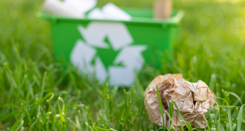 Штраф 50000 рублей за костер на даче? 3 законных способа утилизации веток за 15 минут