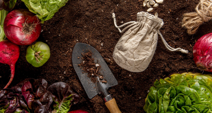 Зимний секрет плодородия: как 3 обычные крупы готовят почву к урожаю