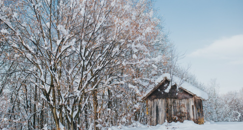 Маленькое село на Оке, которое заметила ООН. Как живут люди в уникальной деревне Бёхово