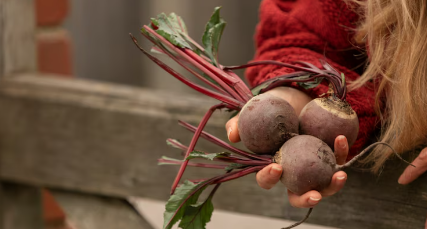 Ваша свекла бледная и невкусная? Вероятно, вы совершаете одну ошибку