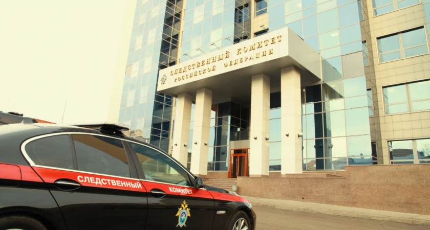 В Воронеже возбудили уголовное дело после избиения школьника из-за игры в снежки