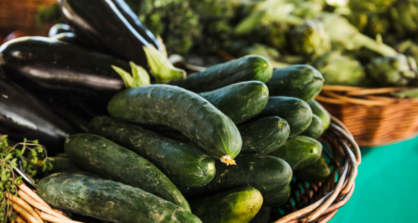 Каждый год покупаю семена огурцов: какие стоит выбрать в январе, чтобы летом не жалеть