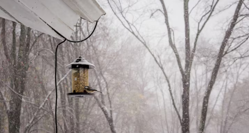 Воронежская область готовится к удару мороза: ночные температуры упадут до -20