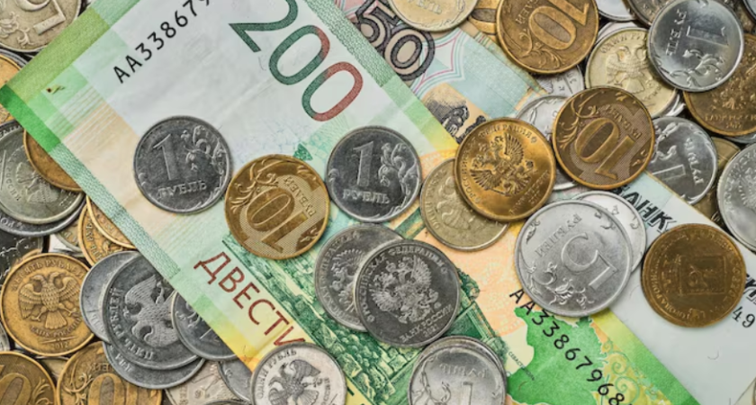 В Воронежской области возбуждено уголовное дело из-за обмана при получении соцконтракта: женщина получила субсидию на кафе, скрыв свой реальный доход