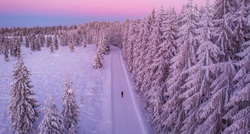 Оранжевый уровень опасности: самые холодные выходные зимы в Воронеже без снега