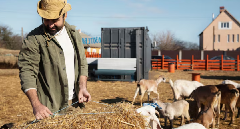 Воронежская область поставила рекорд по экспорту животноводческой продукции: 166 тысяч тонн кормов за рубеж