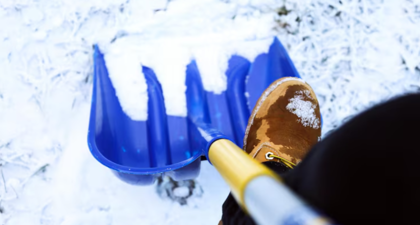 22 воронежских магазина оштрафовали на этой неделе: за чистоту