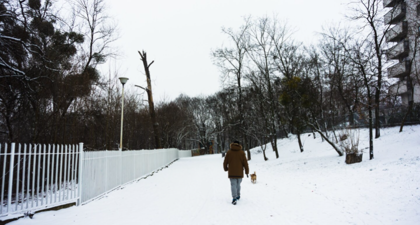 Воронежскую область ожидает снегопад и мороз до -30°C