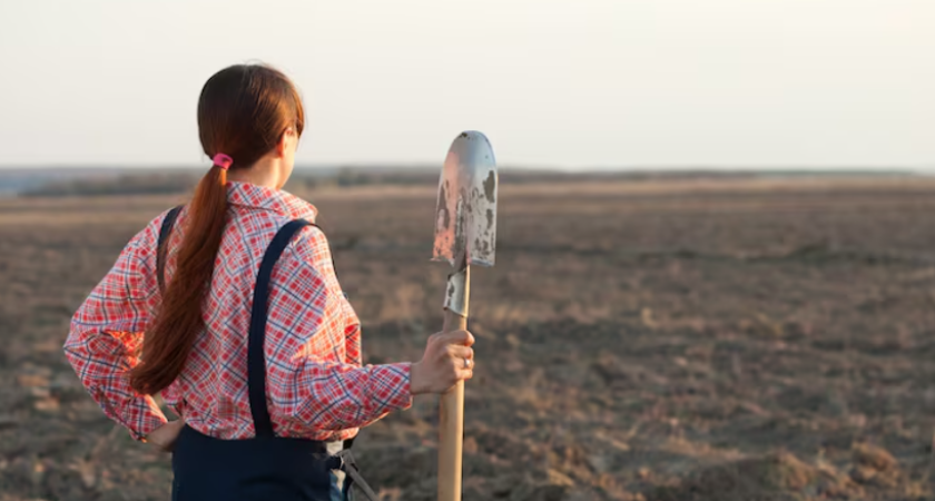 Заблуждение о деревне: Почему земля перестала быть кормилицей