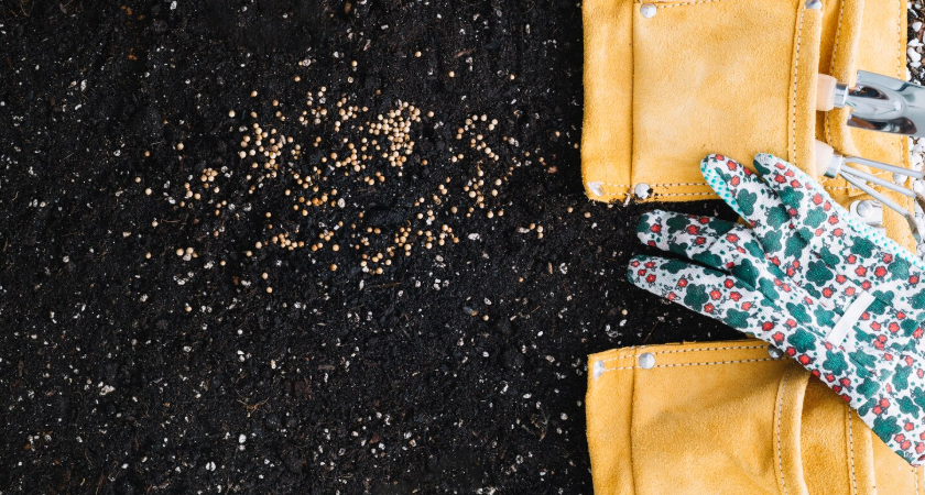 Зимняя подкормка для почвы: три простые крупы заменяют тонну навоза