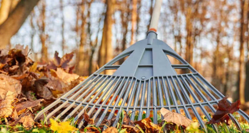 Несколько УК в Воронежской области попали под дело за плохую уборку дворов