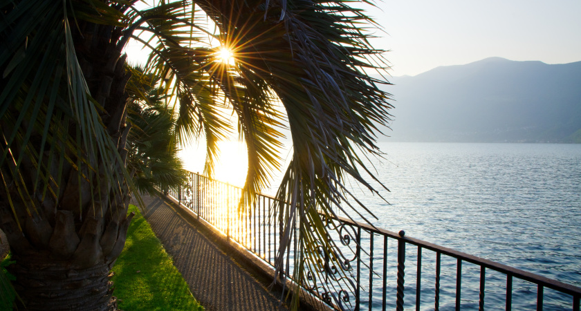 Я переехала в Сочи, но сбежала обратно через два года. Вот 7 причин