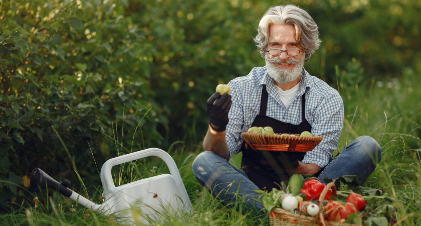 Мартовский сюрприз для дачников. За какие растения теперь штрафуют