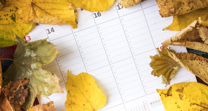  Не верьте календарю: весна и лето в 2026 году начнутся не по расписанию