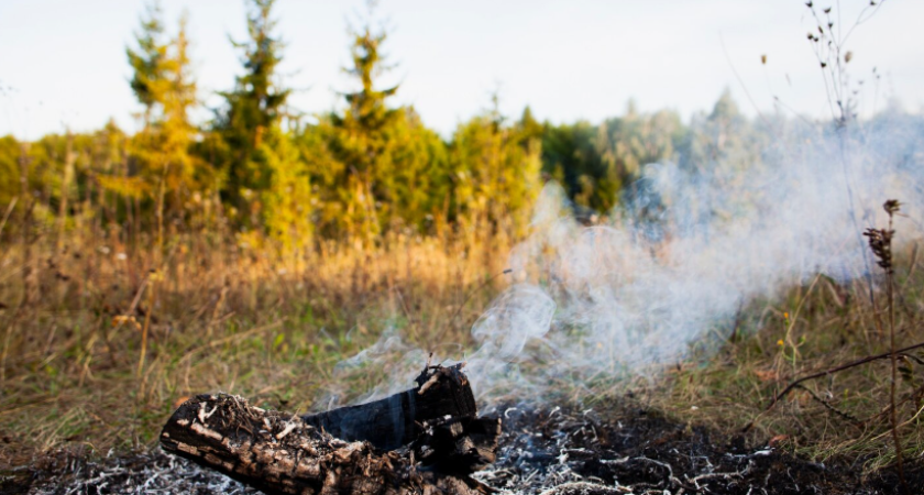 С 1 апреля в Воронежской области начнется пожароопасный сезон