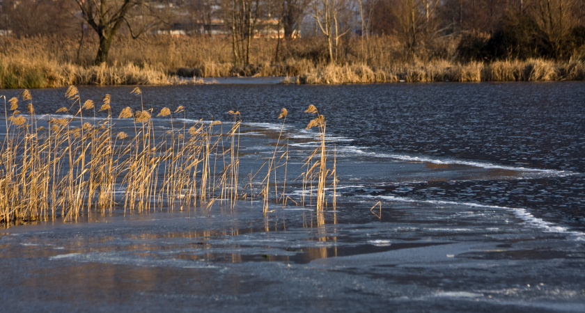 Воронежская область готовится к аномальному паводку: уровень воды на Доне может достигнуть 6 метров
