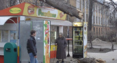 В районе СХИ дерево упало на торговый киоск