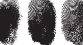 Автомобильного вора вычислили по отпечаткам пальцев