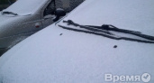 В Воронеже выпал первый снег