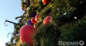На площади в Воронеже повалили 9-метровую новогоднюю ёлку