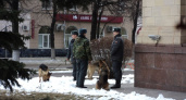 В Воронеже перед визитом Путина у здания правительства области дежурят кинологи с собаками