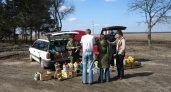 Власти Воронежской области пересчитали придорожных торговцев