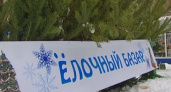 В Воронеже открылись елочные базары