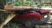 За три дня в Воронеже убрали 104 упавших дерева