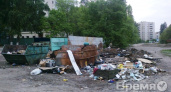 В Воронеже наконец исчезнут несанкционированные свалки?