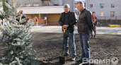 Воронежцы высаживают во дворах деревья и кустарники