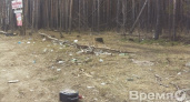 Кто же уберёт несанкционированные свалки в Воронеже?