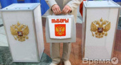 Эксперт: «Выборы в Воронеже проходят спокойно»