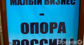 Малый бизнес Воронежа считает правительство РФ своим потенциальным врагом