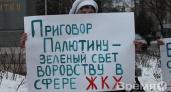 Воронежцы объединились в борьбе с Михаилом Палютиным, выйдя на митинг