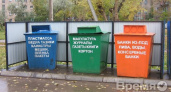 В Воронеже начинают сортировать мусор