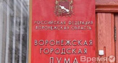 Воронежская Гингема, или Политический нигилизм как экономическая маскировка