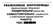 Неизвестная компания от имени воронежской мэрии ищет сотрудников 