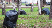 Воронежцы выйдут убирать парки и скверы 