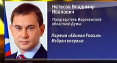 Владимир Нетёсов назвал «ахиллесову пяту» власти 