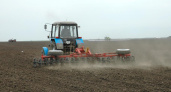 Воронежские аграрии начали посевную кампанию на месяц раньше обычного