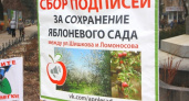 Деревья в воронежском яблоневом саду вырубили незаконно 
